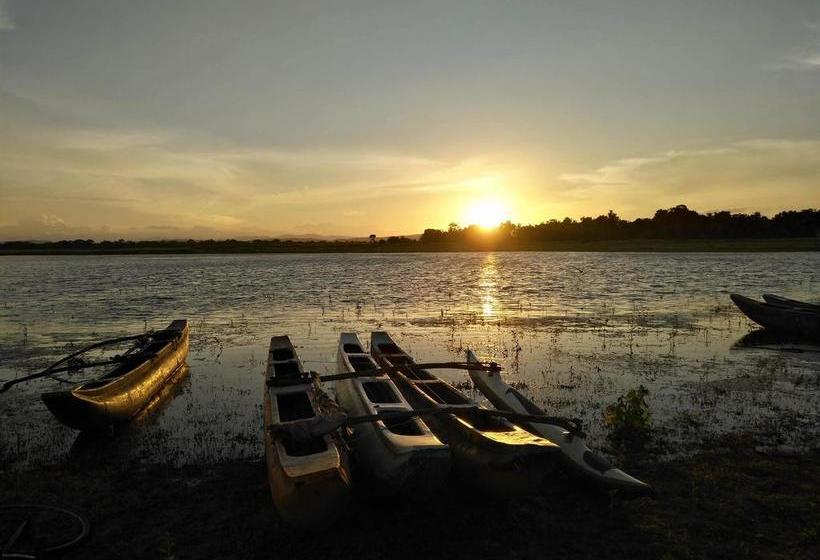 膳宿费 Pharo Lake