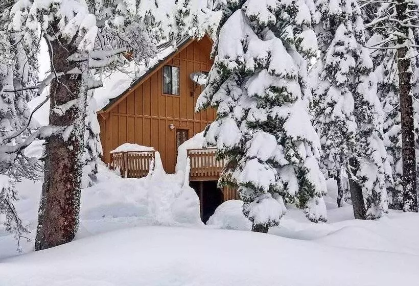 Near Hiking & Skiing: Bear Valley Cabin!