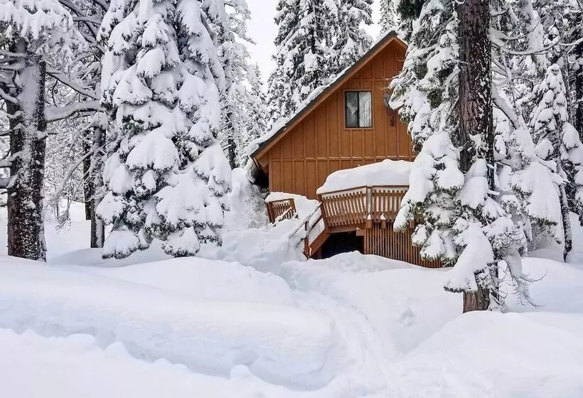 Near Hiking & Skiing: Bear Valley Cabin!