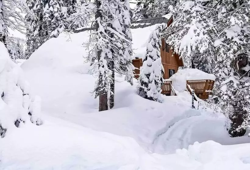 Near Hiking & Skiing: Bear Valley Cabin!