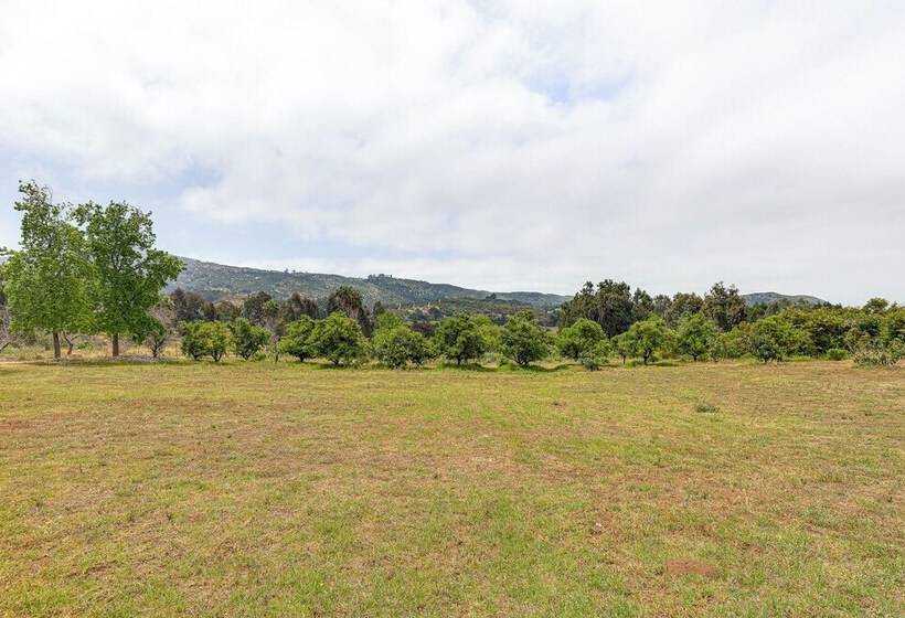 Escondido Vineyard Estate: Walk To Wineries!