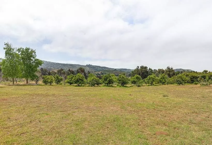 Escondido Vineyard Estate: Walk To Wineries!