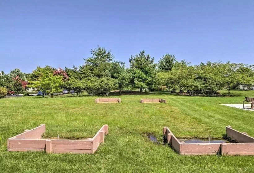 Vibrant Home In Ocean View W/ Screen Porch