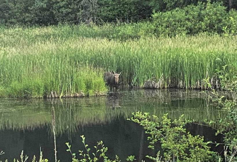 Private 2 Acre Retreat W/ Mtn Views, Walk To River