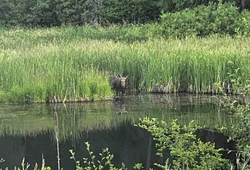 Private 2 Acre Retreat W/ Mtn Views, Walk To River