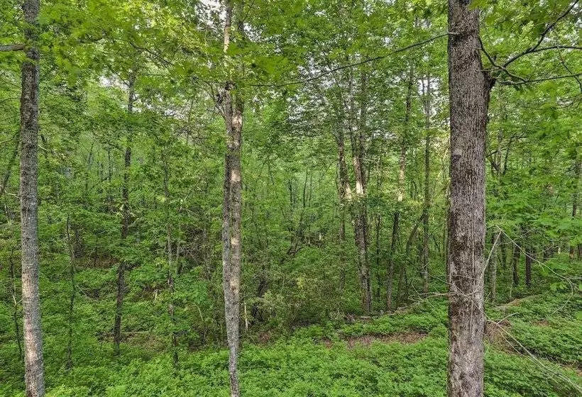 Serene Brevard Cabin ~ 7 Miles To State Forest!