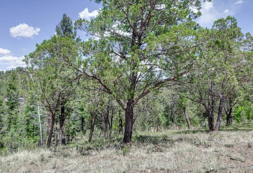 Majestic Pines  Ruidoso Retreat W/ New Hot Tub!