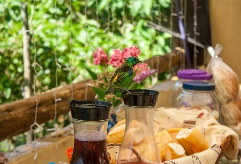 Bed and Breakfast Manacá Prumirim Suites