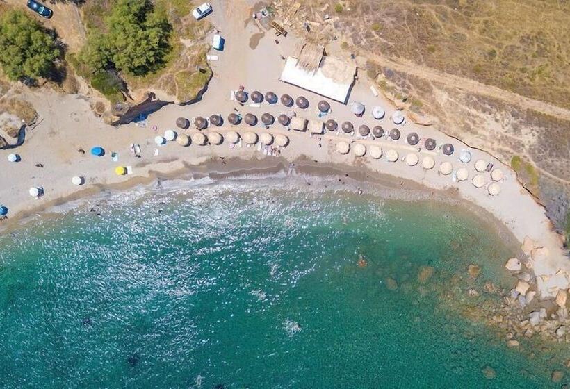 Отель Quattro Suites