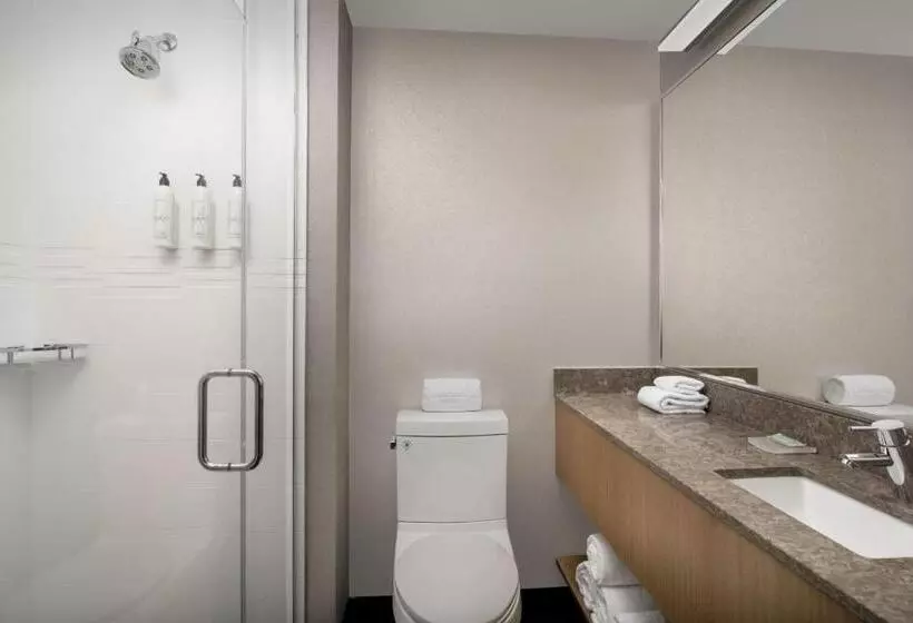 ホテル Springhill Suites By Marriott New York Queens