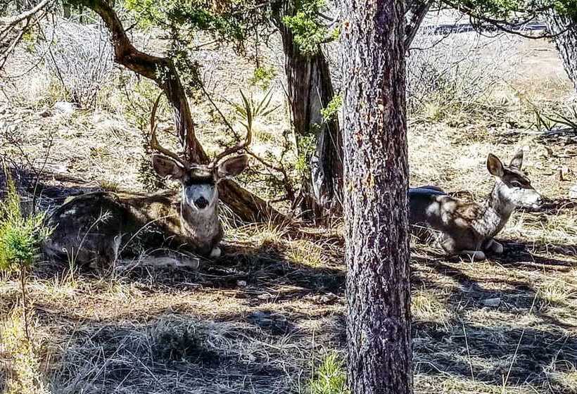 Large Ruidoso Home W/ Stunning Views & Hot Tub!