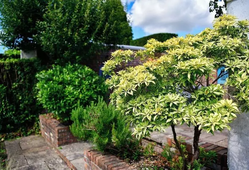 Majatalo Just Stay Wales   Highmead House