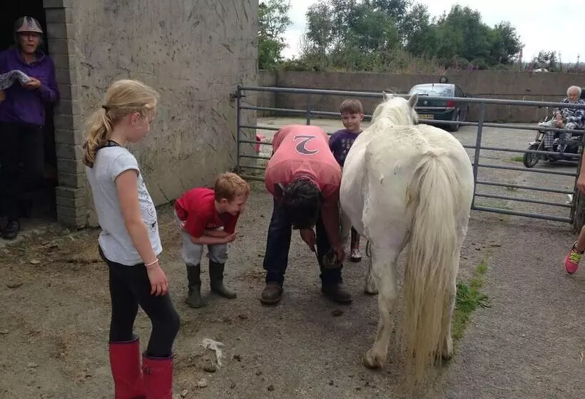 Relax In Sunset View Cottage On Cwmiar Farm