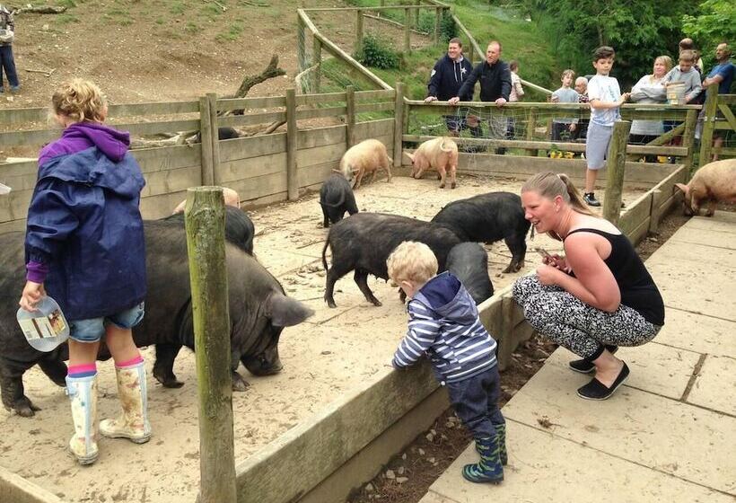 Relax In Sunset View Cottage On Cwmiar Farm
