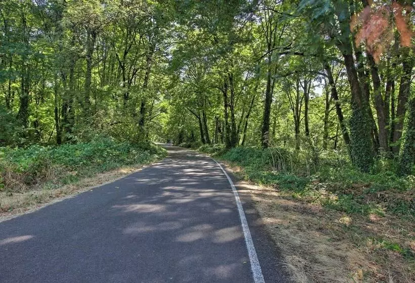 Pet Friendly Home W/ Grill, 2 Mi To Autzen Stadium