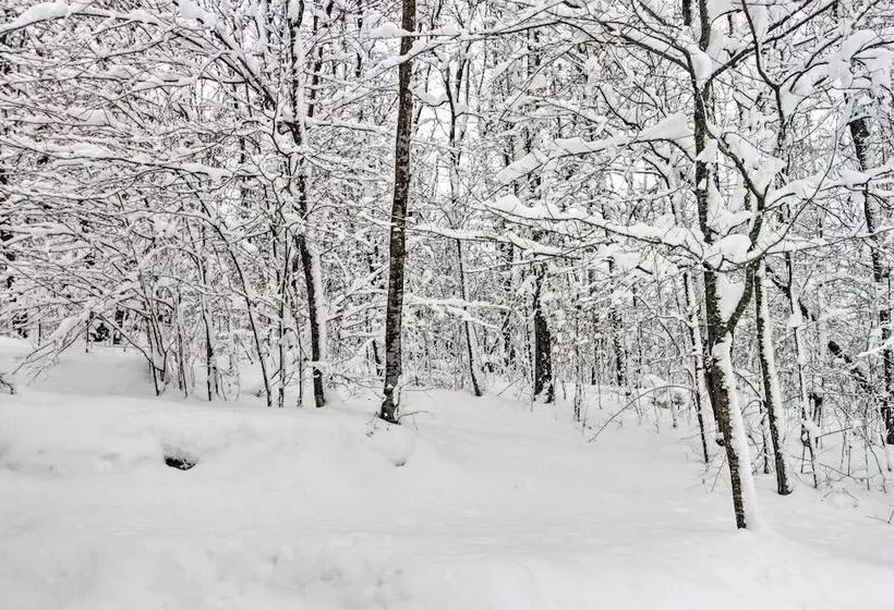 Spacious & Secluded Home By Pokegama Lake!