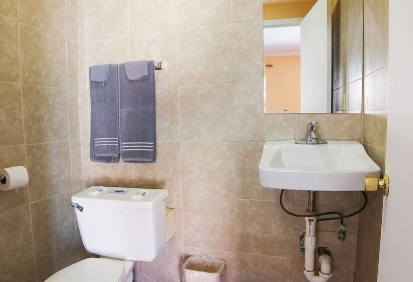 汽车旅馆 Economy Inn