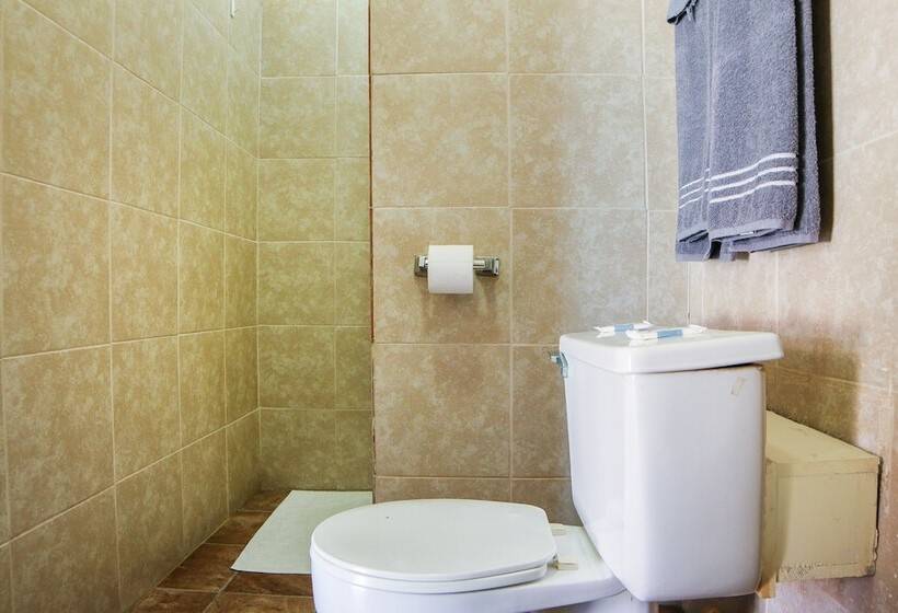 汽车旅馆 Economy Inn