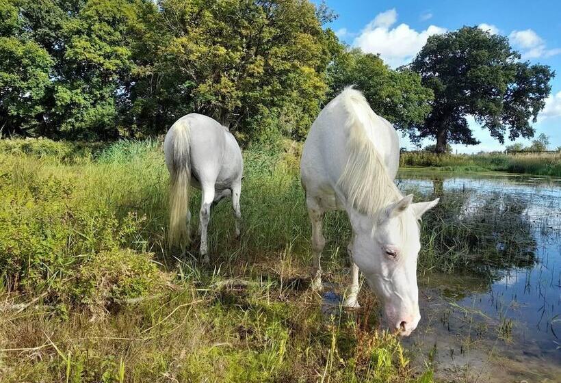 דירת נופש Simple Coastal Luxury Near Southwold Sleeps 10