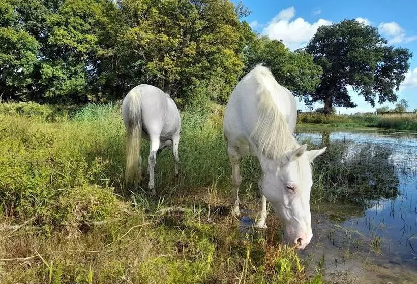 Residenssi Simple Coastal Luxury Near Southwold Sleeps 10