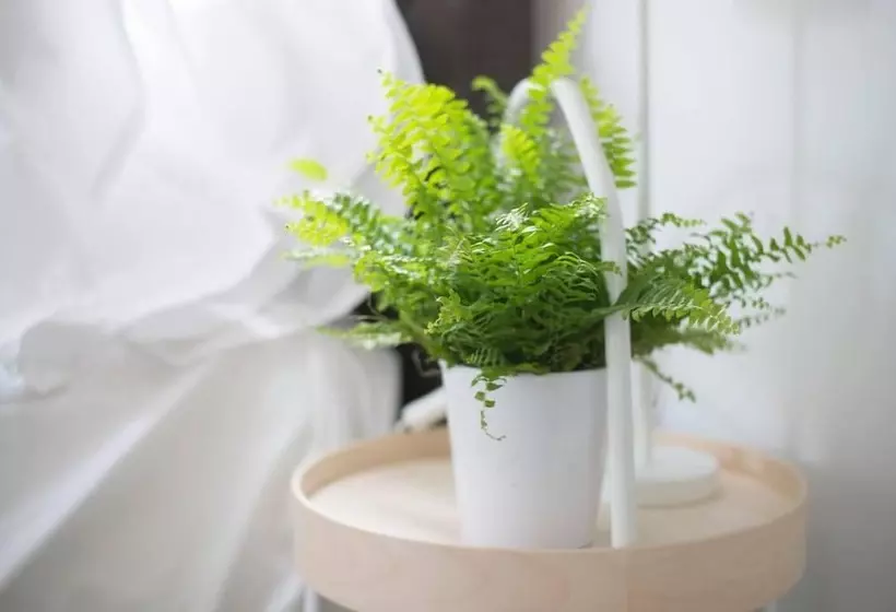 Residenssi Simple Coastal Luxury Near Southwold Sleeps 10