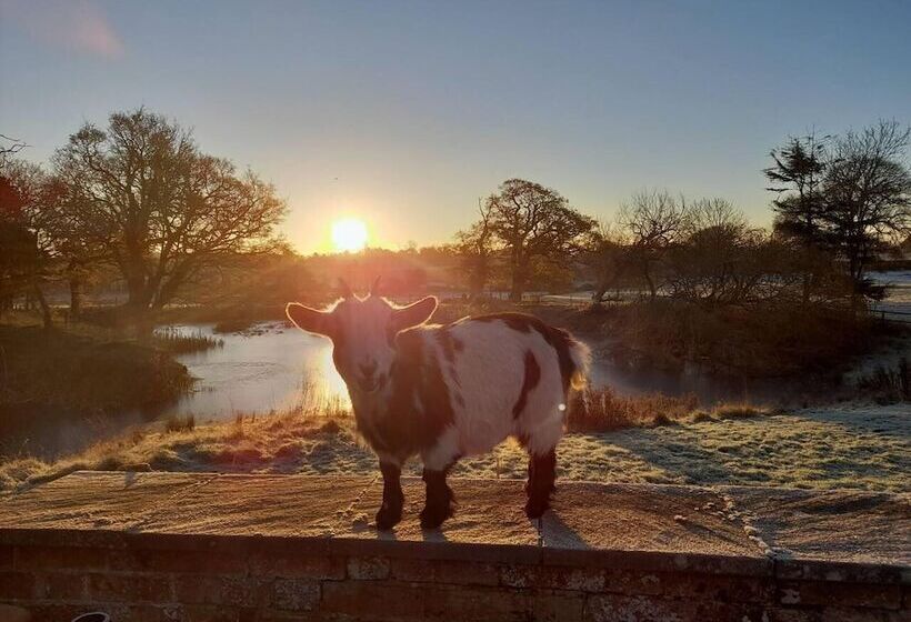 דירת נופש Simple Coastal Luxury Near Southwold Sleeps 10