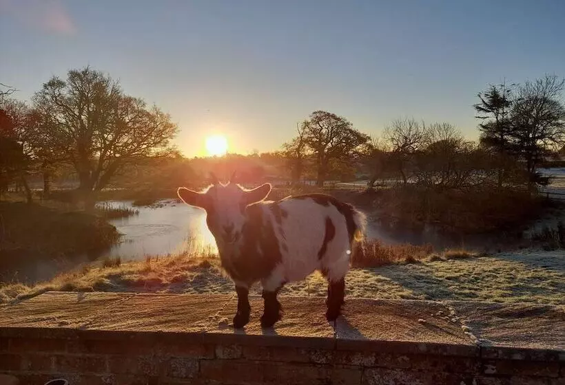 Residenssi Simple Coastal Luxury Near Southwold Sleeps 10