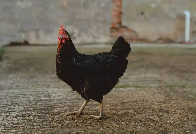 Residenssi Simple Coastal Luxury Near Southwold Sleeps 10