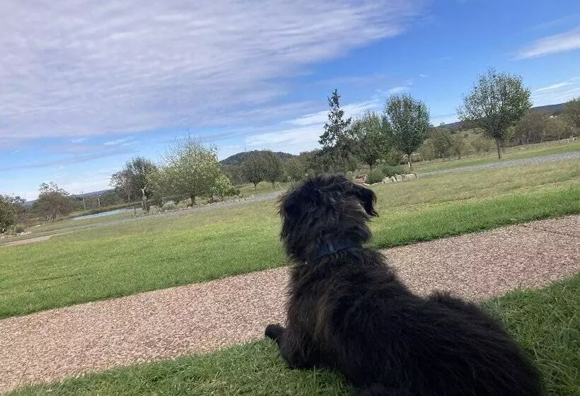 Stargazers Escape Stanthorpe