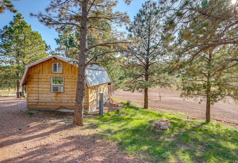 Sundance Cabin Tiny Home Near Mt Rushmore!