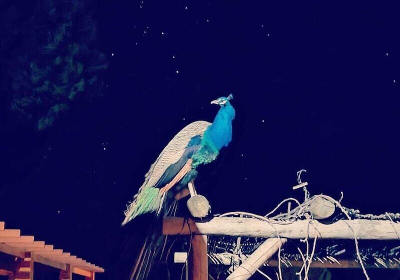 민박 Herdade Do Rio Torto