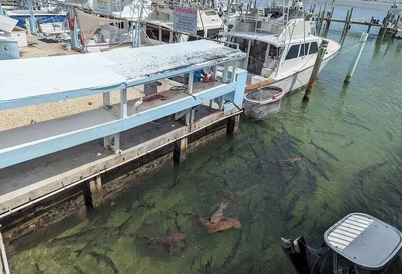 Hotelli Bud N  Mary S Fishing Marina