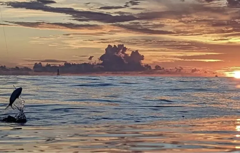 Hotelli Bud N  Mary S Fishing Marina