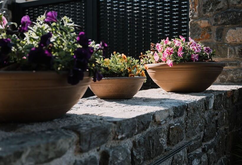 Hotel Opal Executive Suites