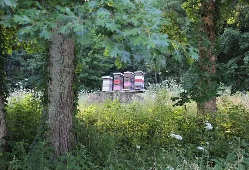 ホテル Southall Farm & Inn