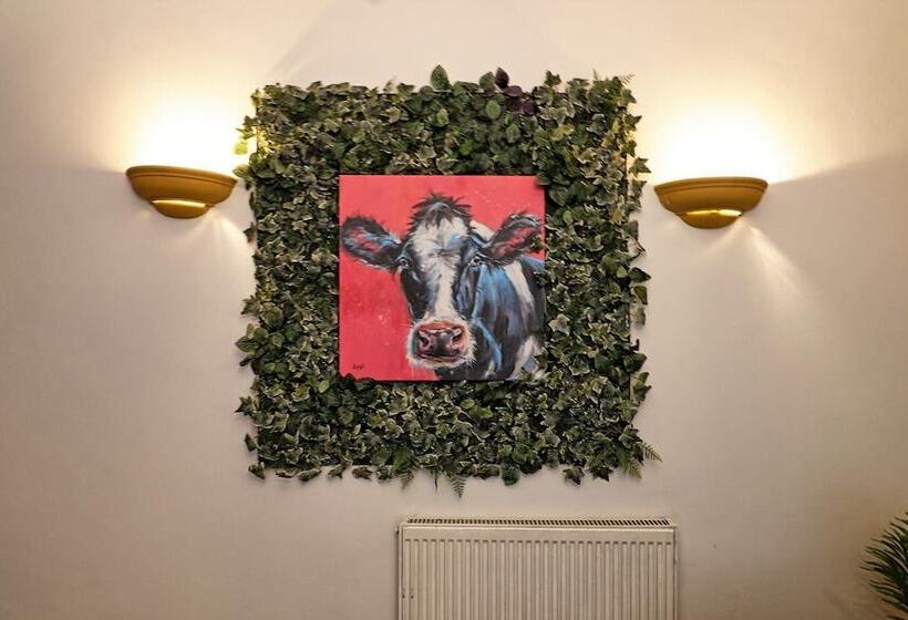 اقامتگاه Big 3bed 2bath House Tropical Oasis Pet Friendly!