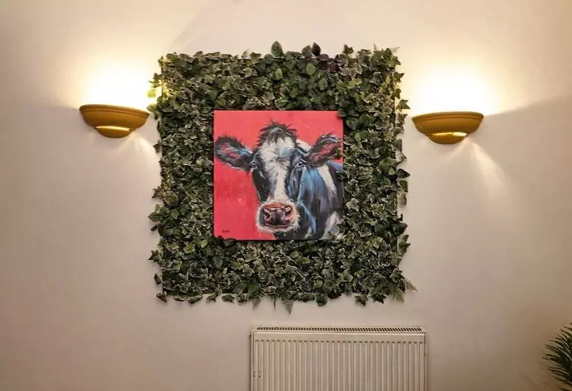 Residenssi Big 3bed 2bath House Tropical Oasis Pet Friendly!