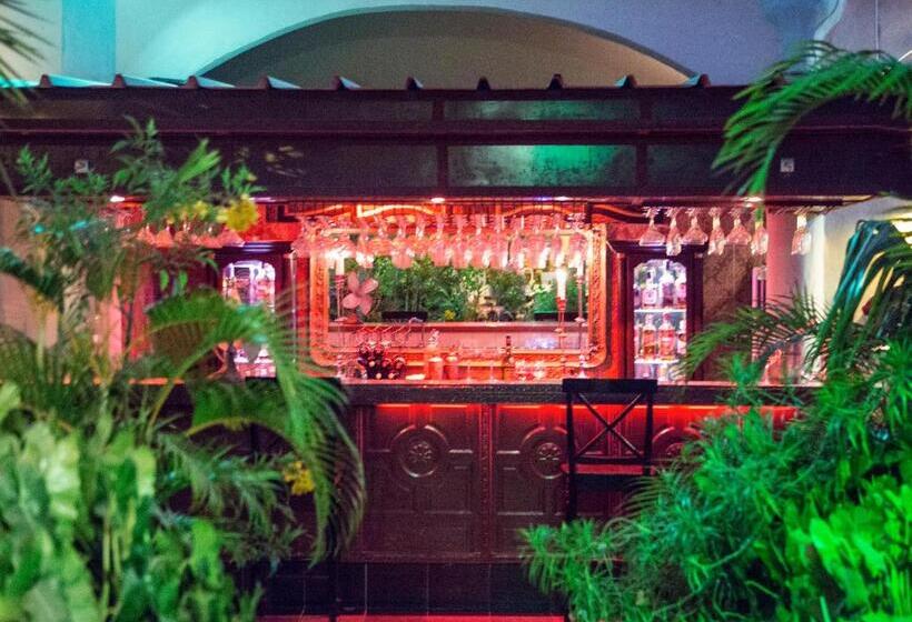 Rooftop Boutique Hotel Adults Only