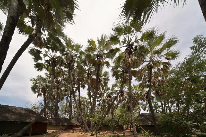 هتل Omarunga Epupafalls Camp