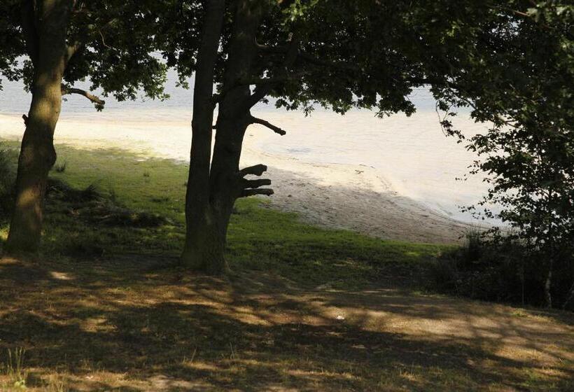 Хостел Villa Will