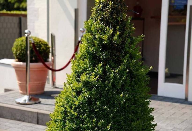 Хостел Villa Will