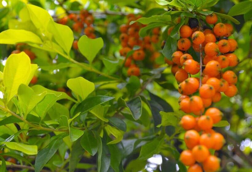 호텔 Campestre Umpala