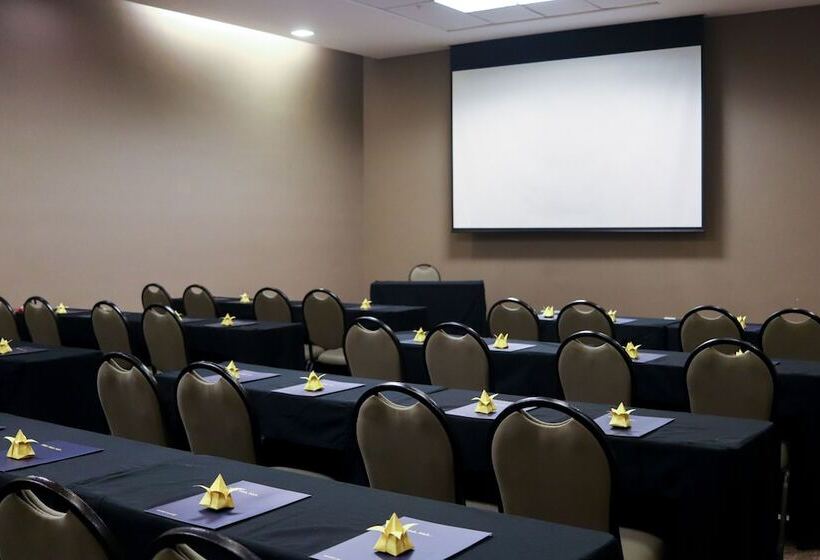 Hotel Golden Tulip Natal Ponta Negra