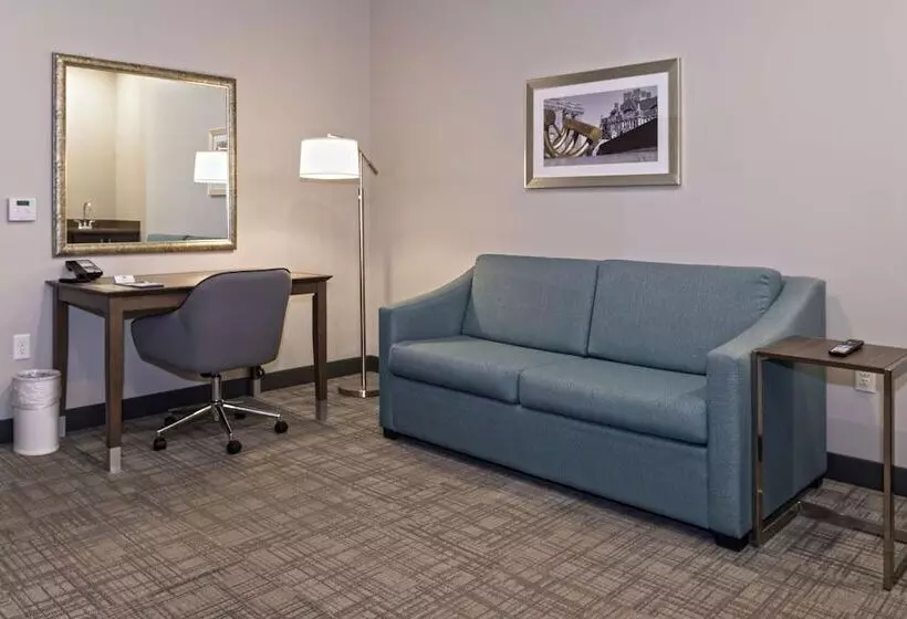 ホテル Hampton Inn & Suites Minneapolis University Area