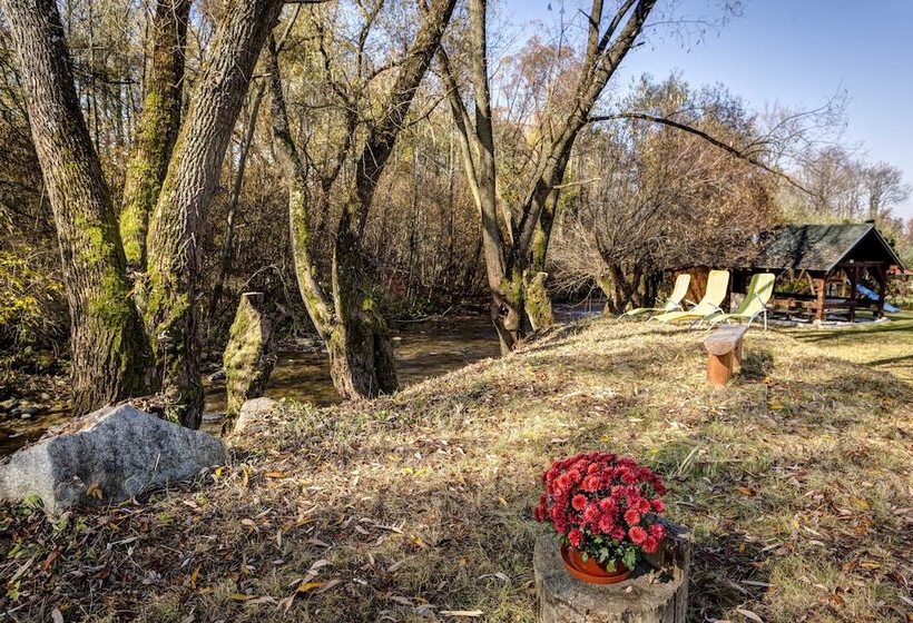 בית מלון כפרי Penzion Drak