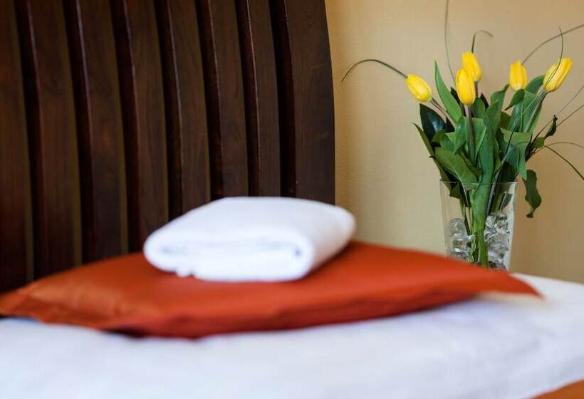 בית מלון כפרי Penzion Drak