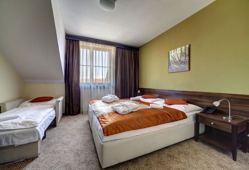 בית מלון כפרי Penzion Drak