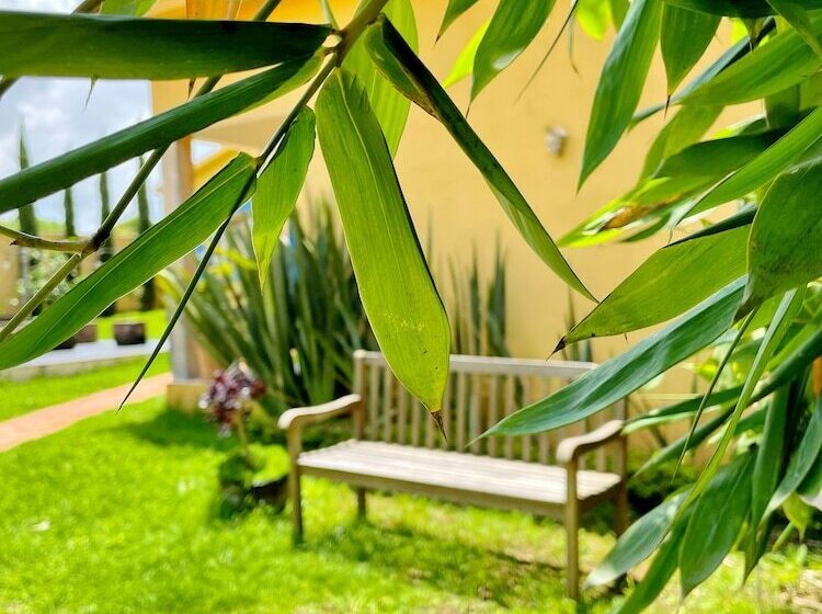 בית מלון כפרי Sandunga Cabañas Boutique