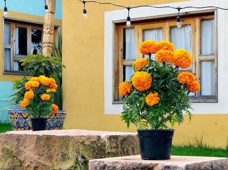 בית מלון כפרי Sandunga Cabañas Boutique