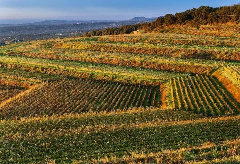 هتل Wine Resort Villagrande